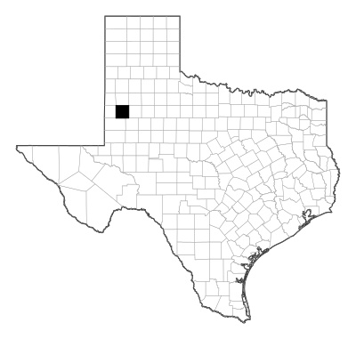 Terry County in Texas