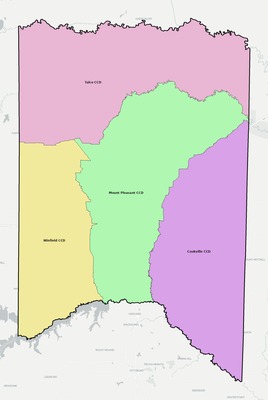 Titus County TX townships and subdivisions map
