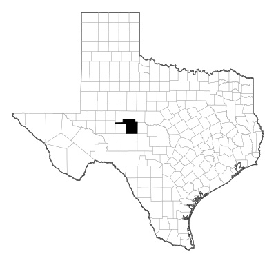 Tom Green County in Texas