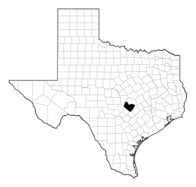 Travis County in Texas