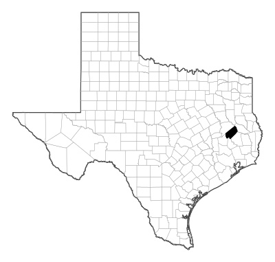 Trinity County in Texas