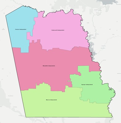 Tyler County TX school district boundaries map