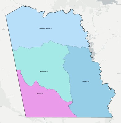 Tyler County TX townships and subdivisions map