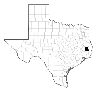 Tyler County in Texas
