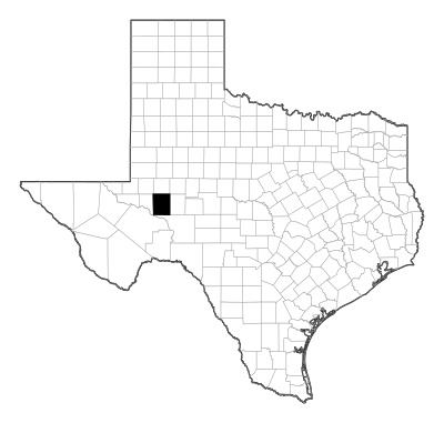 Upton County in Texas