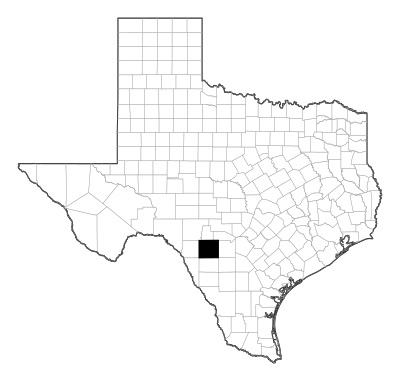 Uvalde County in Texas