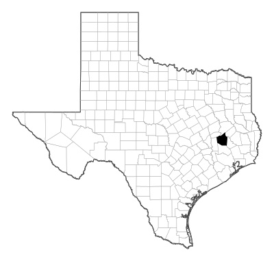 Walker County in Texas