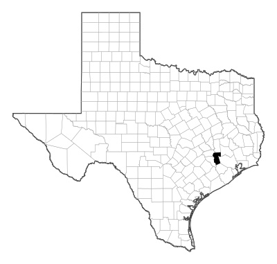Waller County in Texas