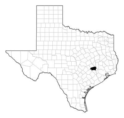 Washington County in Texas