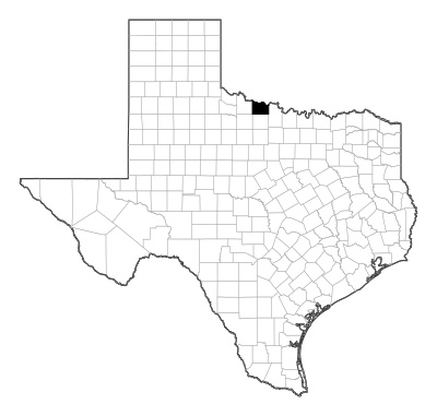 Wichita County in Texas