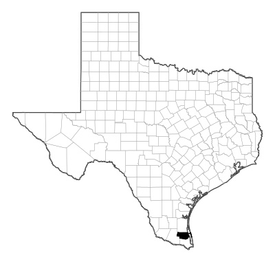 Willacy County in Texas