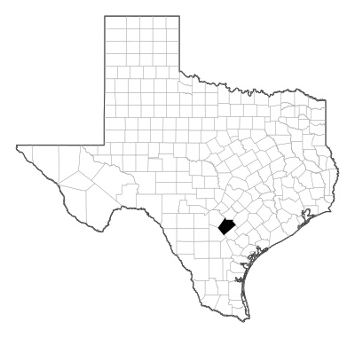 Wilson County in Texas