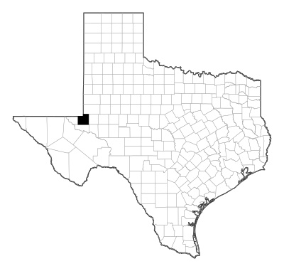 Winkler County in Texas