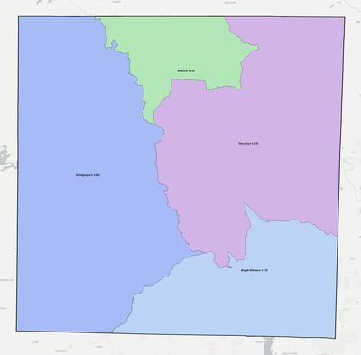 Wise County TX townships and subdivisions map