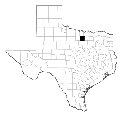 Wise County in Texas