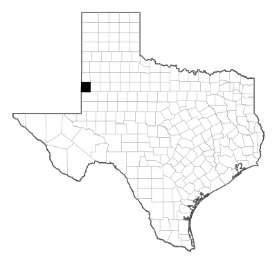 Yoakum County in Texas