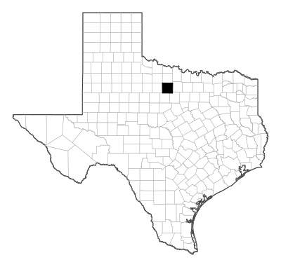 Young County in Texas