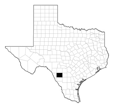 Zavala County in Texas