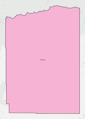 Duchesne County UT school district boundaries map
