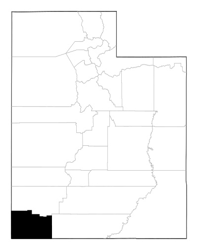 Washington County in Utah