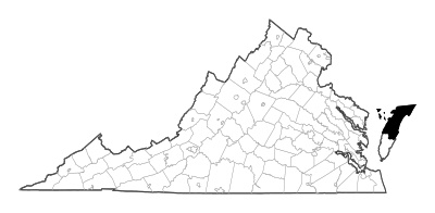 Accomack County in Virginia