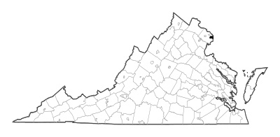 Alexandria County in Virginia