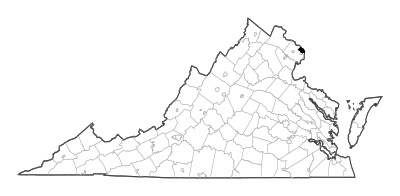 Arlington County in Virginia