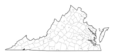 Bristol County in Virginia