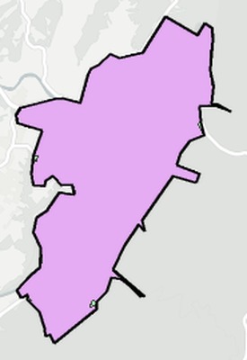 Buena Vista County VA school district boundaries map