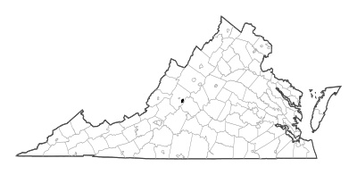 Buena Vista County in Virginia