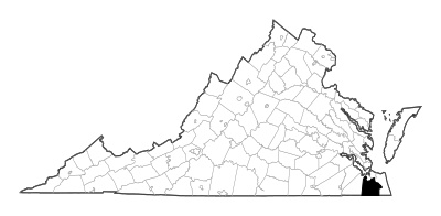 Chesapeake County in Virginia