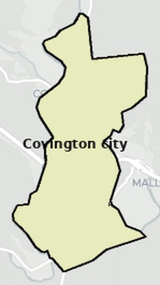 Covington County VA townships and subdivisions map