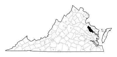 Essex County in Virginia