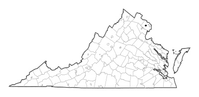 Fairfax County in Virginia