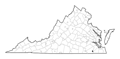 Franklin County in Virginia