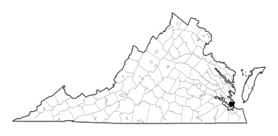 Hampton County in Virginia