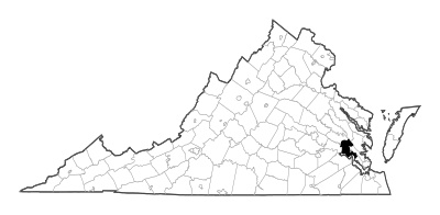James City County in Virginia