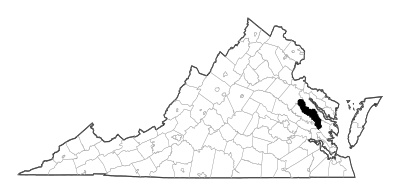 King and Queen County in Virginia