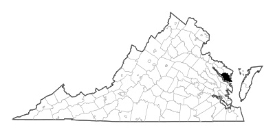 Lancaster County in Virginia