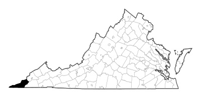 Lee County in Virginia