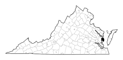 Mathews County in Virginia