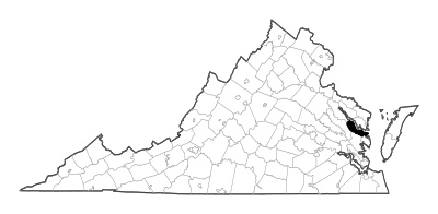 Middlesex County in Virginia