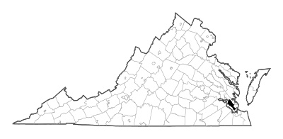 Newport News County in Virginia