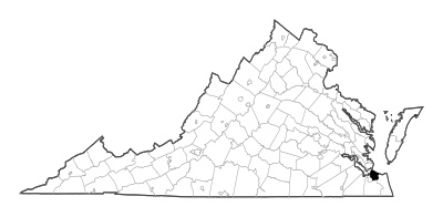 Norfolk County in Virginia