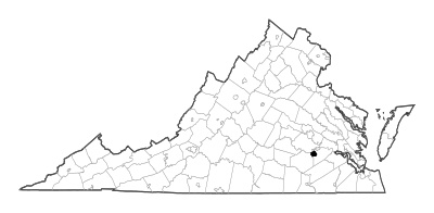 Petersburg County in Virginia