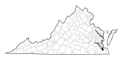 Portsmouth County in Virginia