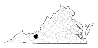 Pulaski County in Virginia