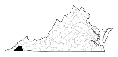 Scott County in Virginia