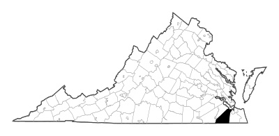 Suffolk County in Virginia