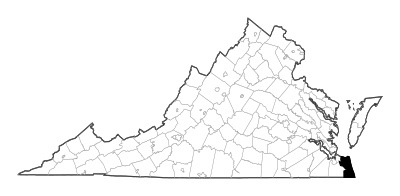 Virginia Beach County in Virginia